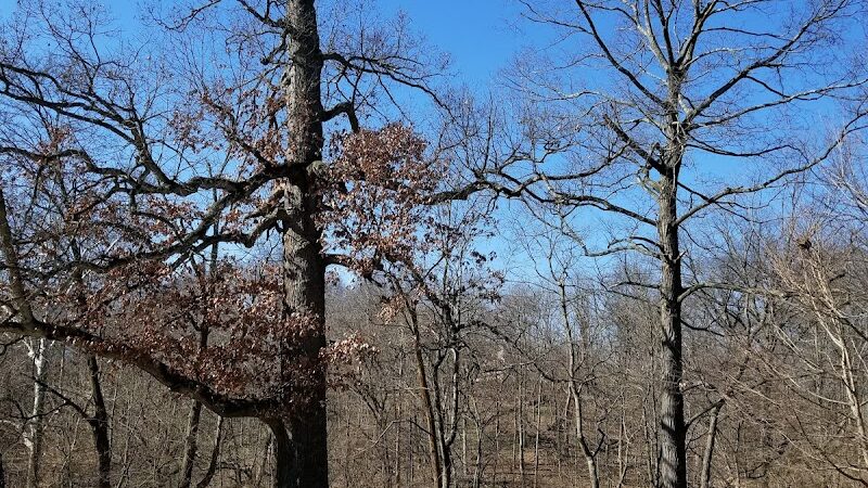 Trailside Nature Center - Cincinnati, OH
