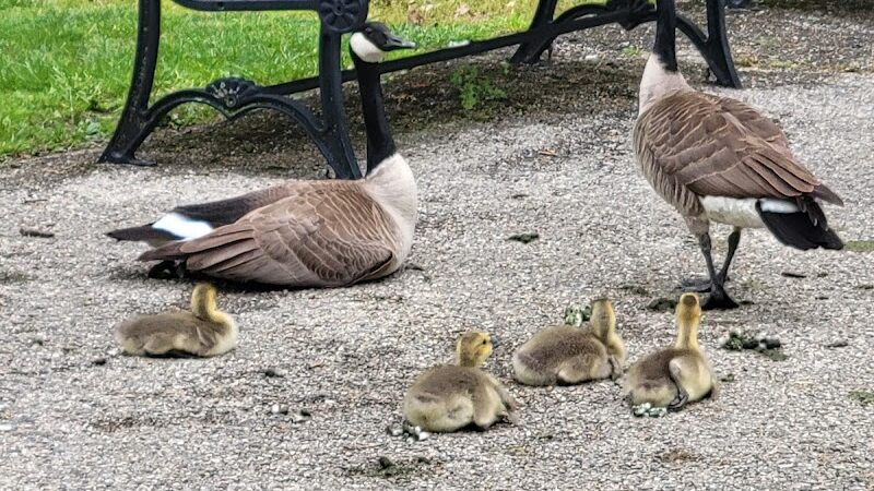 Trailside Nature Center - Cincinnati, OH
