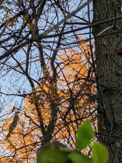 Veterans Park - Cincinnati, OH