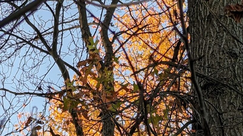 Veterans Park - Cincinnati, OH