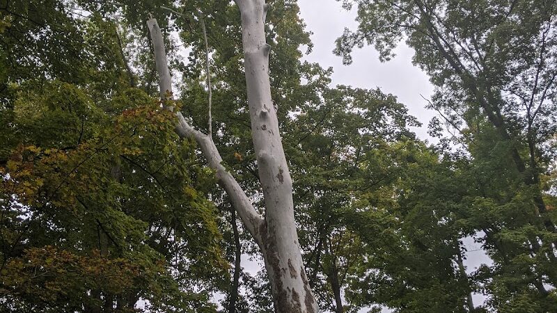 Veterans Park - Cincinnati, OH