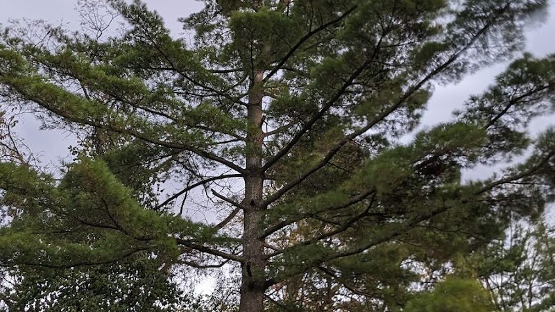 Veterans Park - Cincinnati, OH