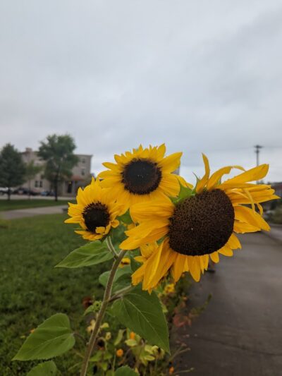 Wasson Way - Cincinnati, OH