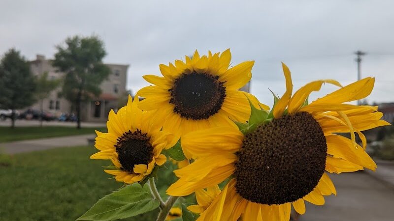 Wasson Way - Cincinnati, OH