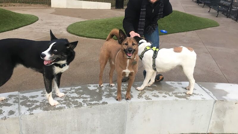 Westwood Dog Park - Cincinnati, OH