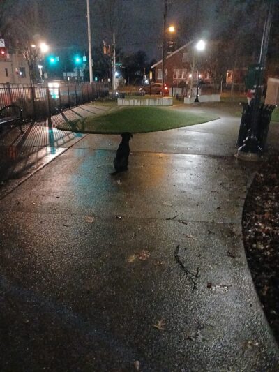 Westwood Dog Park - Cincinnati, OH