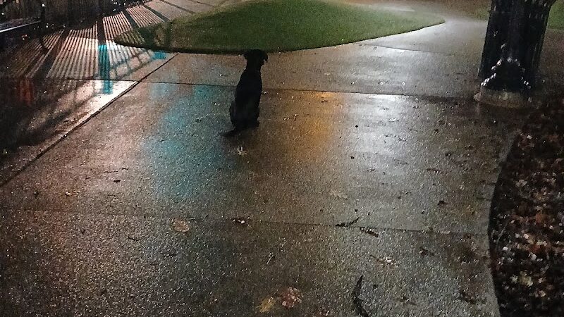 Westwood Dog Park - Cincinnati, OH