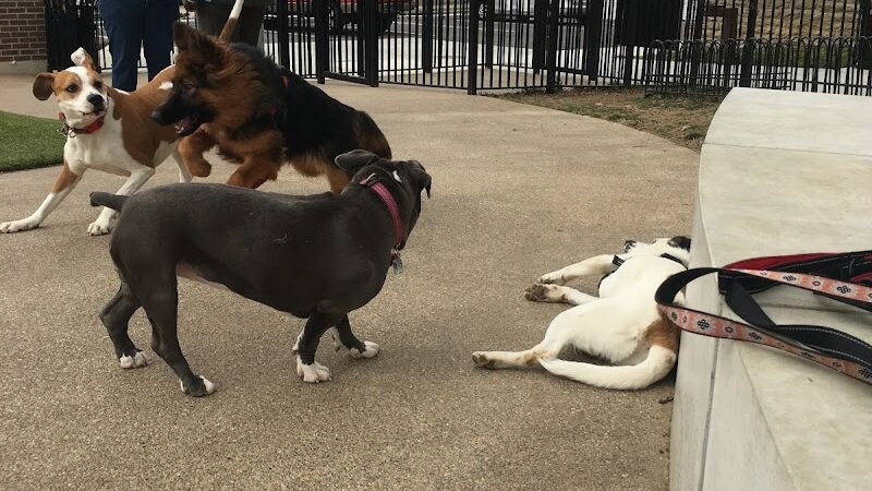 Westwood Dog Park - Cincinnati, OH