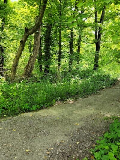 Winton Woods - Cincinnati, OH