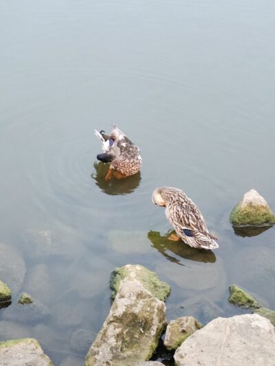 Winton Woods - Cincinnati, OH