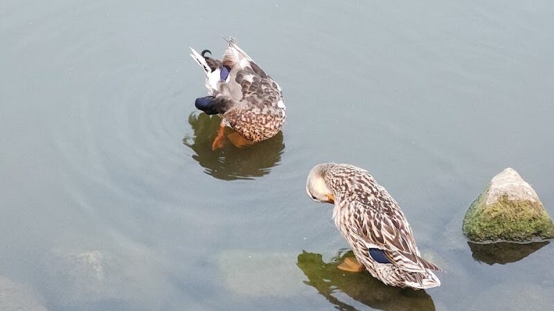 Winton Woods - Cincinnati, OH