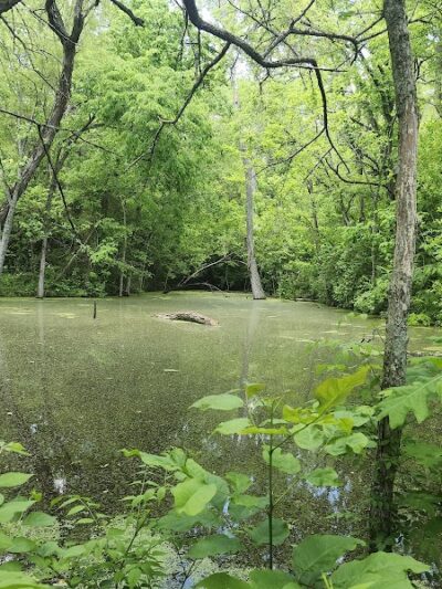 Woodland Mound - Cincinnati, OH