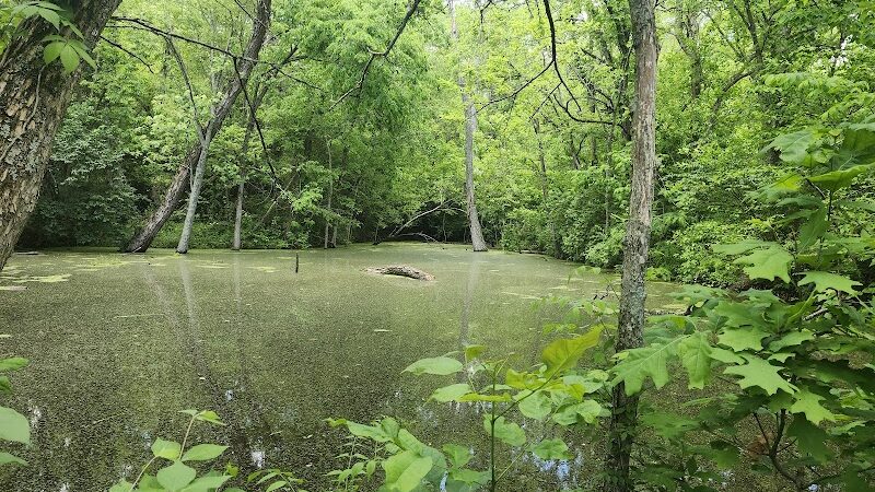 Woodland Mound - Cincinnati, OH