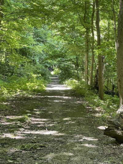 Woodland Mound - Cincinnati, OH