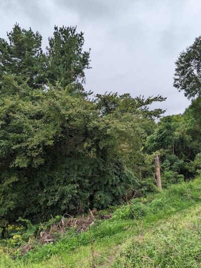 Kiedaisch Point Park - Clarington, OH