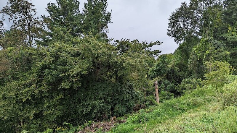 Kiedaisch Point Park - Clarington, OH