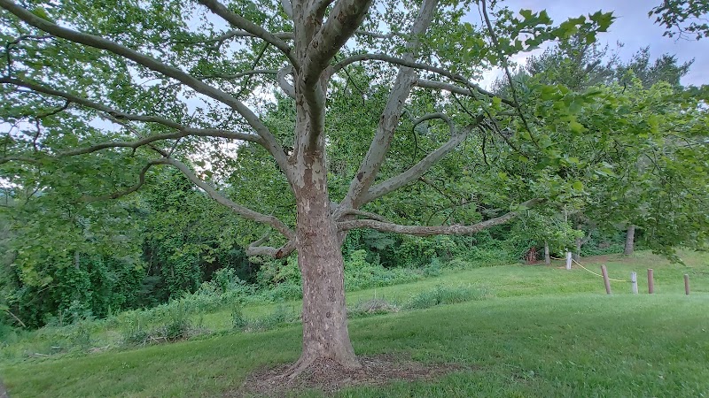 Kiedaisch Point Park - Clarington, OH