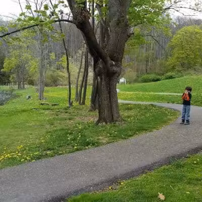 Abington Dog Park - Clarks Summit, PA