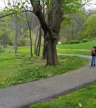 Abington Dog Park - Clarks Summit, PA