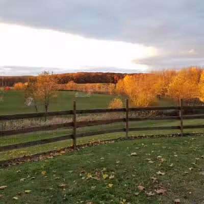 Abington Dog Park - Clarks Summit, PA