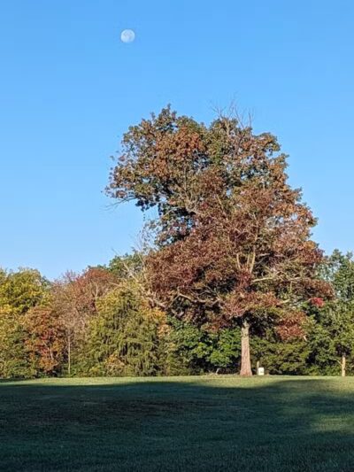 Gulley Park Disc Golf Course - Clarksville, OH