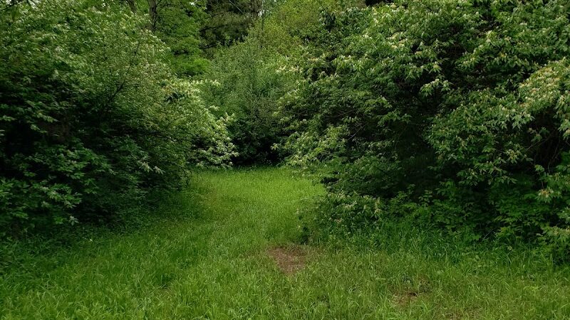 Clayton Park - Clayton, OH