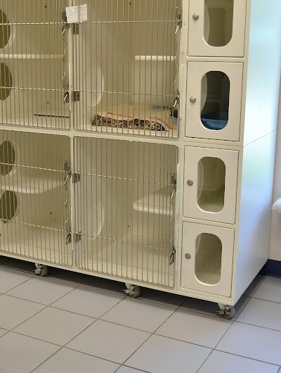 Clayton Pet Hotel & Spa - Clayton, OH