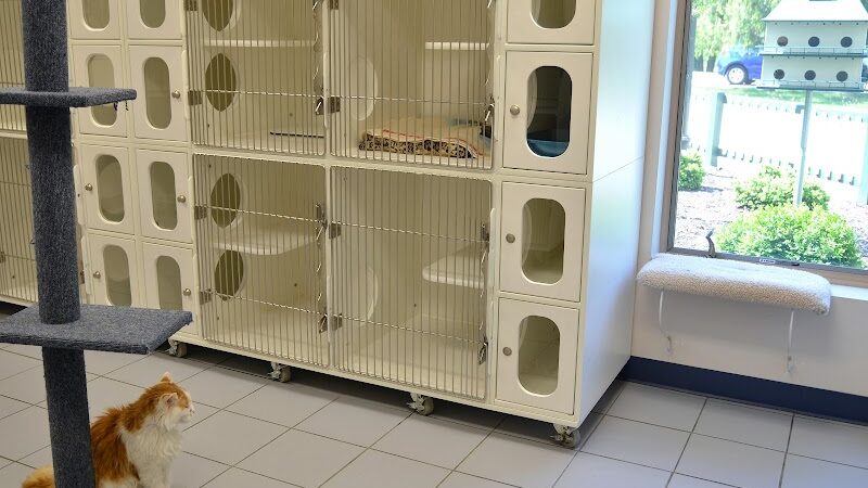 Clayton Pet Hotel & Spa - Clayton, OH