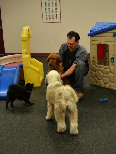 Clayton Pet Hotel & Spa - Clayton, OH