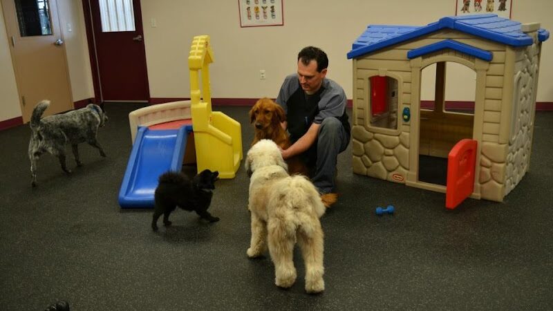 Clayton Pet Hotel & Spa - Clayton, OH