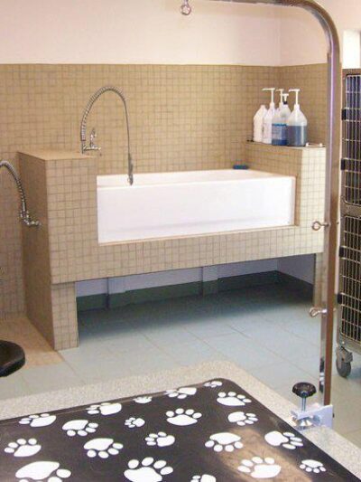 Clayton Pet Hotel & Spa - Clayton, OH