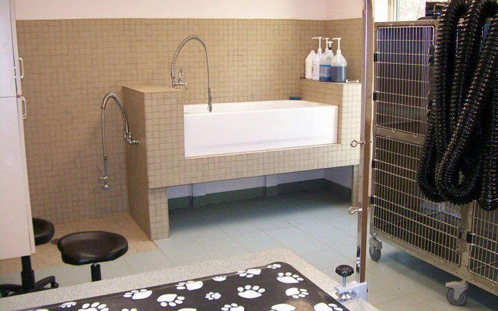 Clayton Pet Hotel & Spa - Clayton, OH