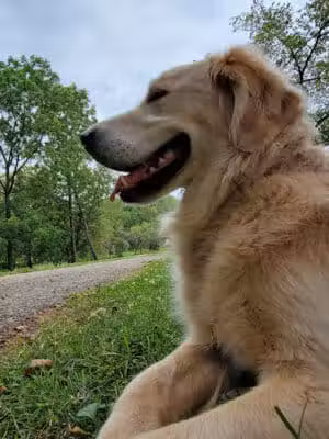Westbrook Road Park - Clayton, OH