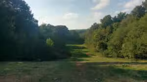 Forest Hill Park - Cleveland Heights, OH