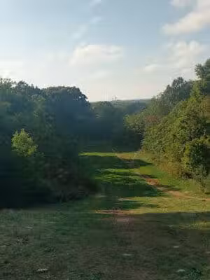 Forest Hill Park - Cleveland Heights, OH