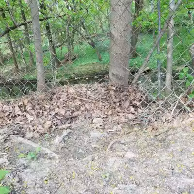 Cumberland Park - Cleveland Heights, OH