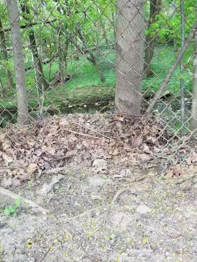 Cumberland Park - Cleveland Heights, OH