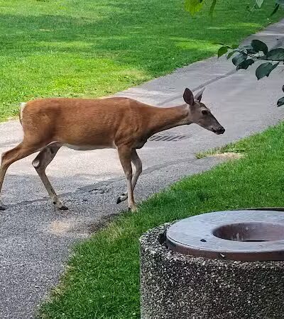 Cumberland Park - Cleveland Heights, OH