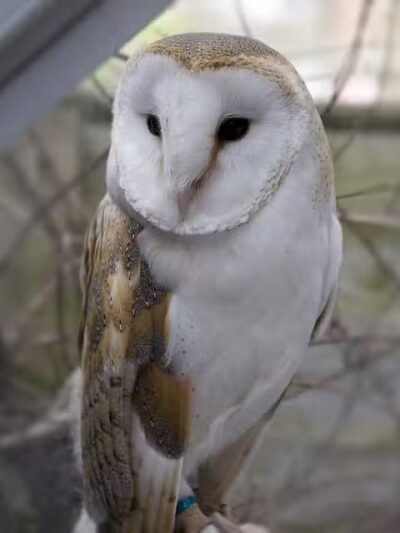 Cumberland Park - Cleveland Heights, OH