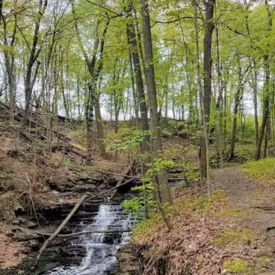 Forest Hill Park - Cleveland Heights, OH