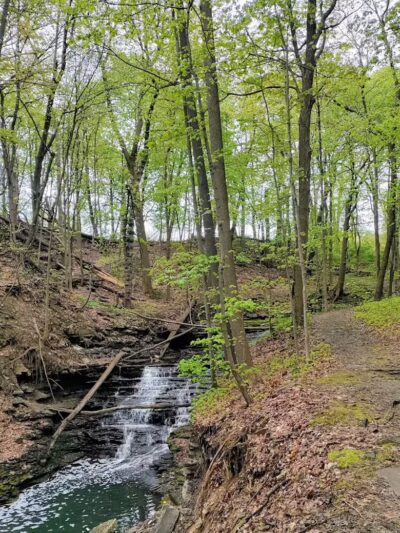 Forest Hill Park - Cleveland Heights, OH