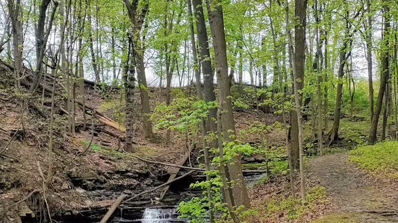 Forest Hill Park - Cleveland Heights, OH
