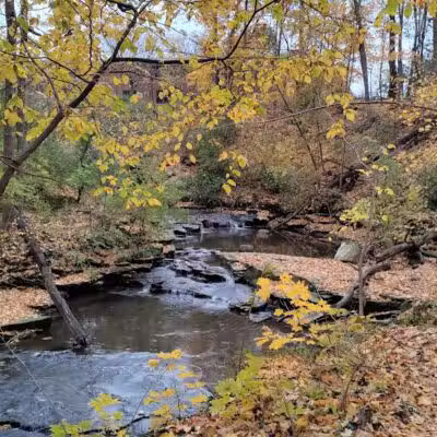 Forest Hill Park - Cleveland Heights, OH