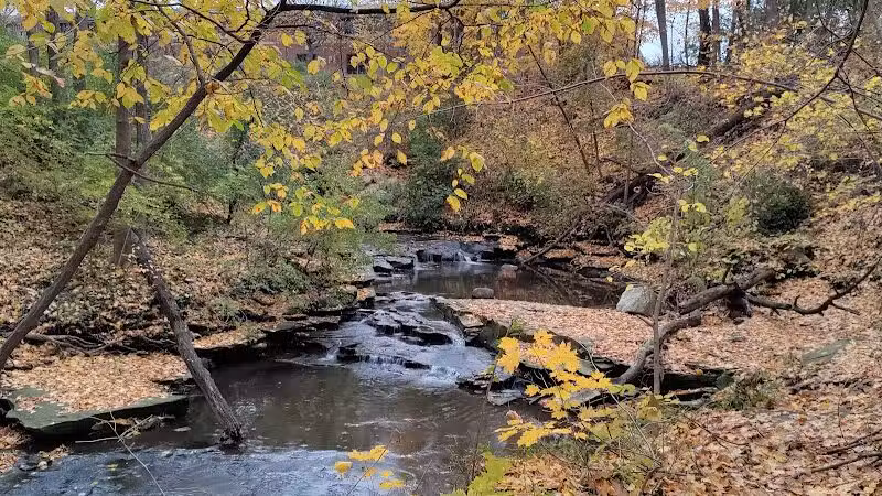 Forest Hill Park - Cleveland Heights, OH