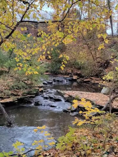 Forest Hill Park - Cleveland Heights, OH