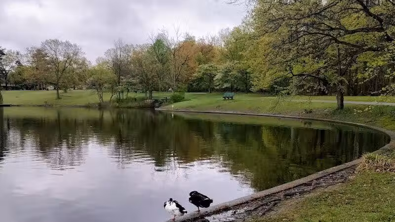 Forest Hill Park - Cleveland Heights, OH