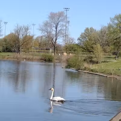 Forest Hill Park - Cleveland Heights, OH