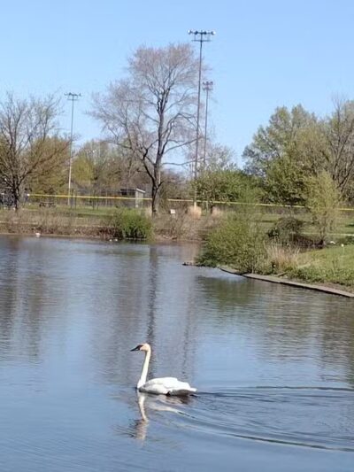 Forest Hill Park - Cleveland Heights, OH
