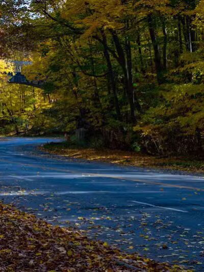 Forest Hill Park - Cleveland Heights, OH