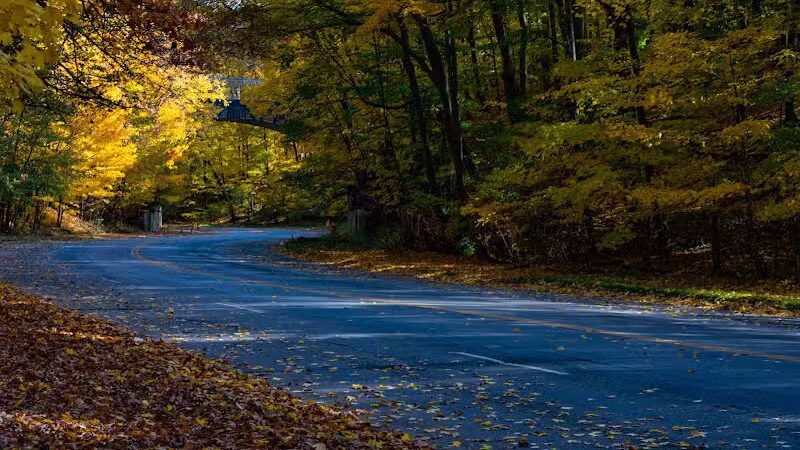 Forest Hill Park - Cleveland Heights, OH